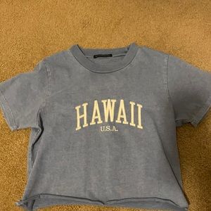 NWOT BRANDY MELVILLE CROPPED TEE